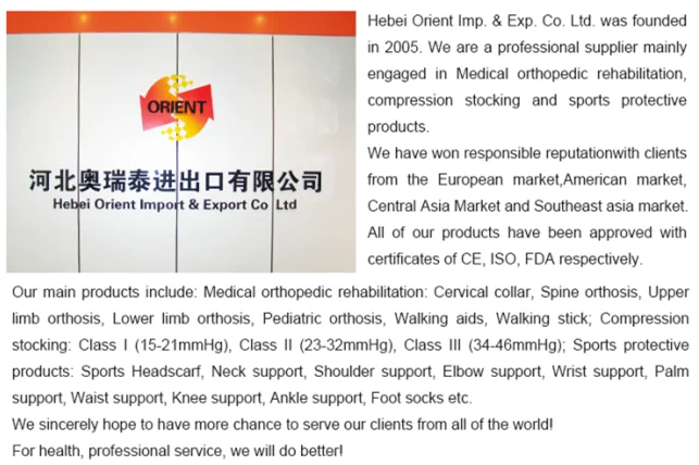 Company profile.png