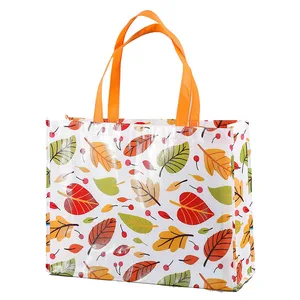 bags & cases bag reusable nonwoven colorful bag 5,890 products