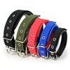 Pure Color Polypropylene Fiber Foam Led Dog Neck Protect Collar With Silver Buckles