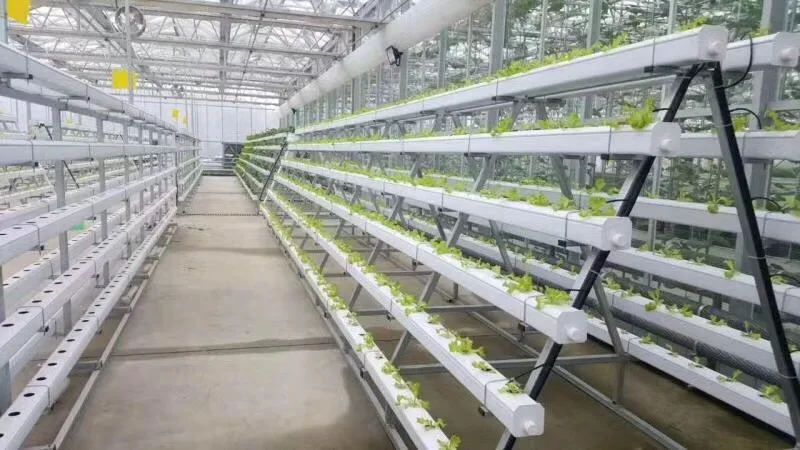 Heißer verkauf Hydroponics Turm für Landwirtschaftliche Gewächshaus