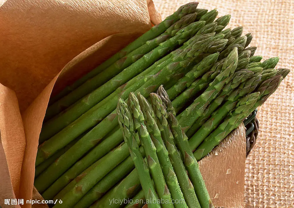 工厂供应 asparagus 香粉芦笋 officinalis 提取物芦笋提取物