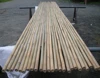 Bamboo cane for sale
