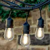 Outdoor Weatherproof Commercial UK EU Plug decorative Black Wire 30Ft Led Globe Outdoor String Lights with Hanging Sockets