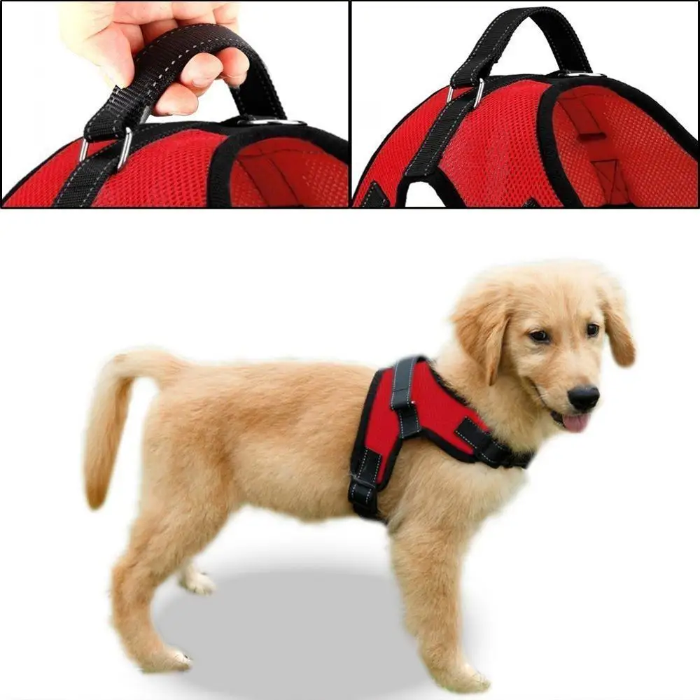 可调式宠物小狗安全带宠物狗步行手带训练狗带定制
