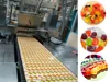 Servo motor full automatic fruit jelly candy making machine price