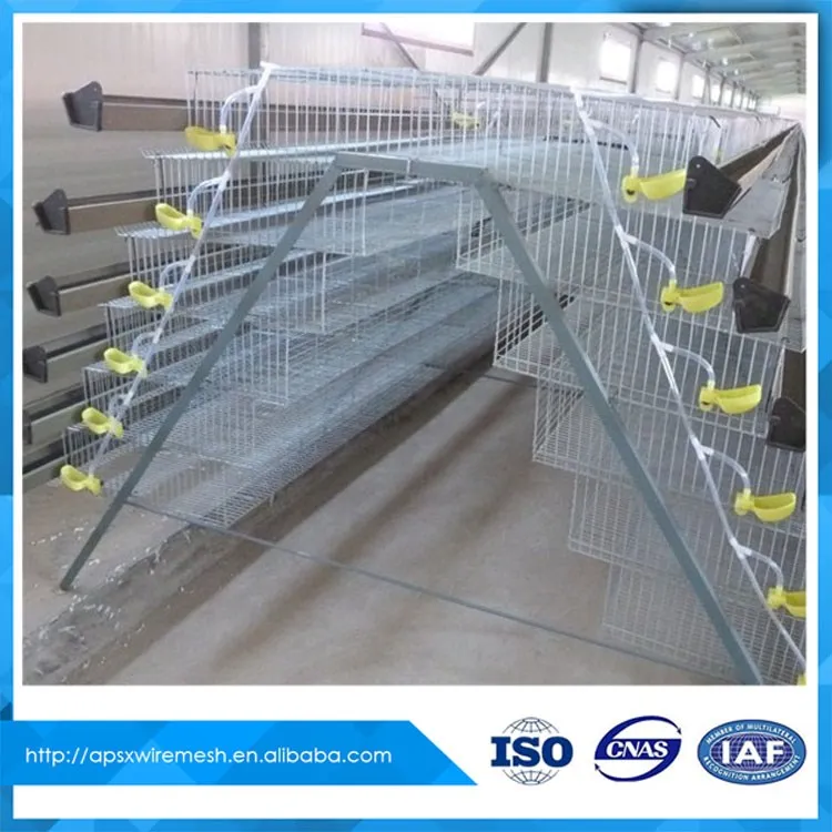 Chovm Gold Supplier quail bird cages for sale in pakistan