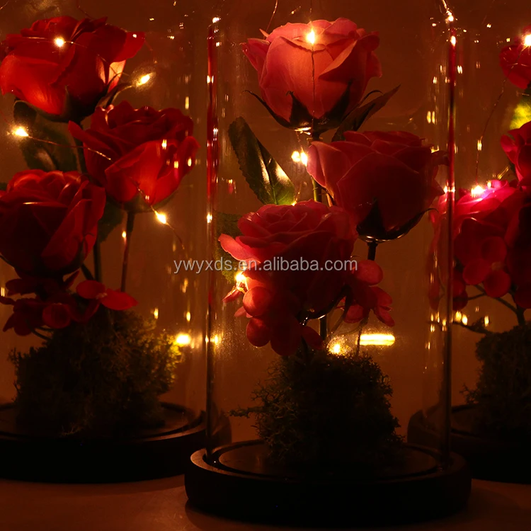 rose in glass dome with led light two heads rose flowers gift