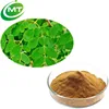 /product-detail/100-pure-natural-high-quality-10-1-moringa-oleifera-moringa-seed-extract-60697381556.html