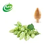/product-detail/hot-selling-hops-extract-supplement-hops-extract-powder-62037012475.html