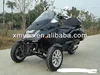 /p-detail/2014-trike-moto-t300l-500002826413.html