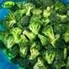 /product-detail/best-price-and-service-wholesale-bulk-frozen-broccoli-60704595357.html