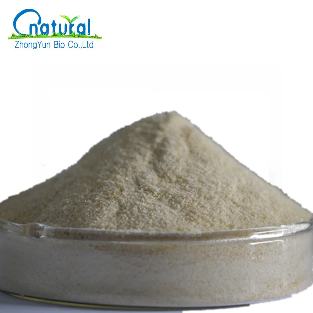Pure Natto Extract Natural Nattokinase Powder
