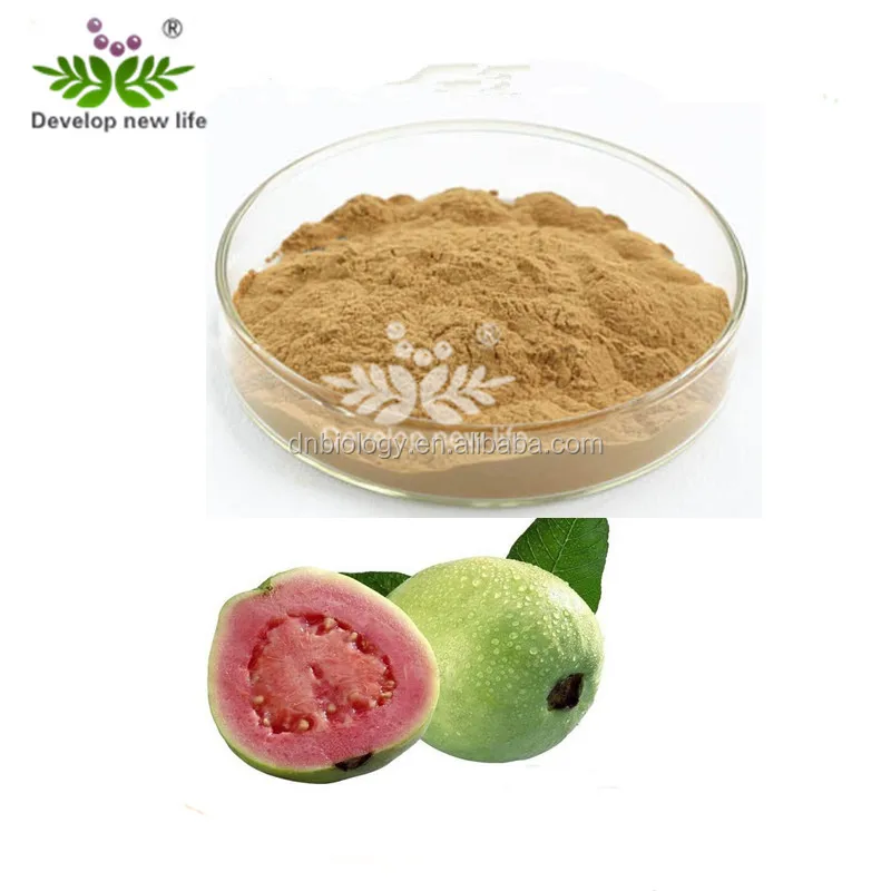 best selling guava leaf extract powder 40% ellagic acid from China famous supplier