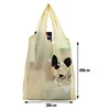 Fashion Decorative Foldable Eco Friendly Reusable Shopping Bag for Supermarket