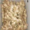 China Dried Ginger/Organic Dry Ginger for health benefit