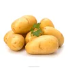 /product-detail/sweet-seed-potato-price-60479908412.html