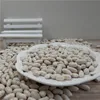 white kidney bean Navy beans