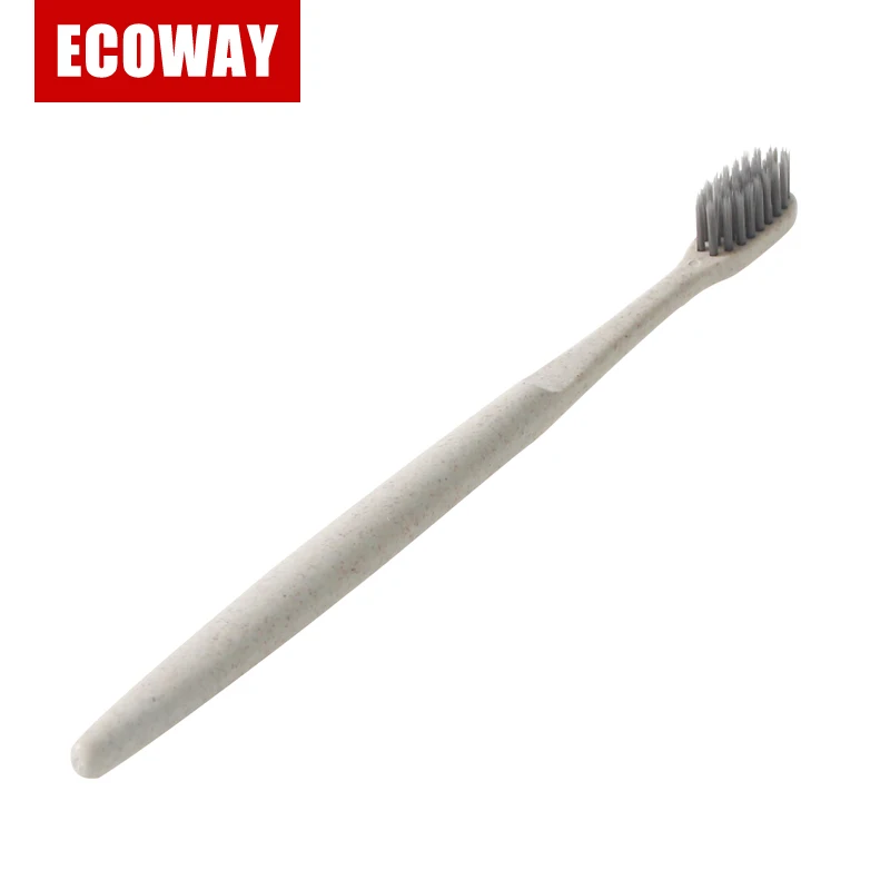 E-JGYS002-1.jpg