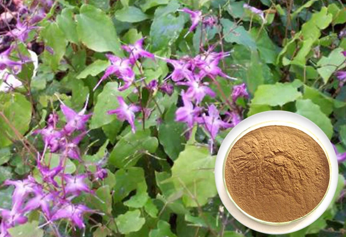 honey goat weed extract herbs high in epimedium