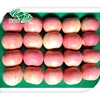 best price Yantai Fresh red fuji apple exporter in china
