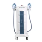 2 / 4 Cryo Handles Multi functional Fat Freezing beauty machine for Spa