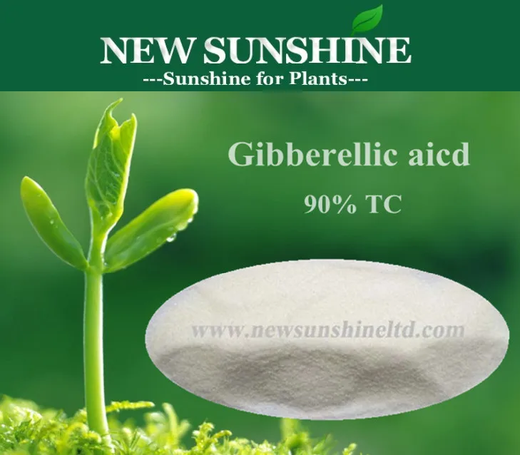 Ga3,Gibberellin,Gibberellic Acid,Plant Growth Regulator