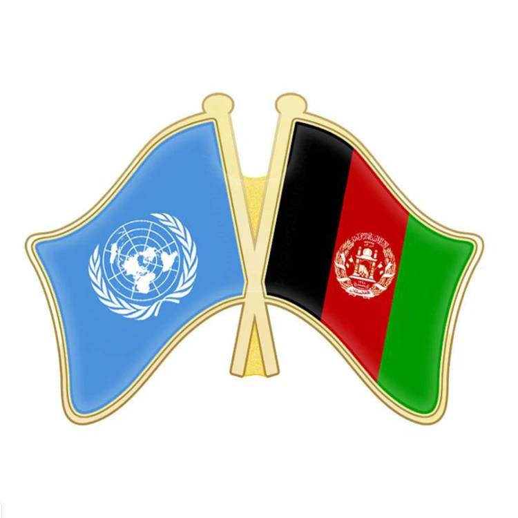 Grosir Logam Kustom United Nations Flag Pin