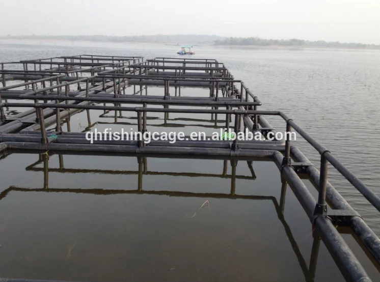 Tilapia/catfish Fish Farming Cage System,Square Floating Cage