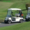 /product-detail/good-quality-electric-golf-buggy-60754189355.html