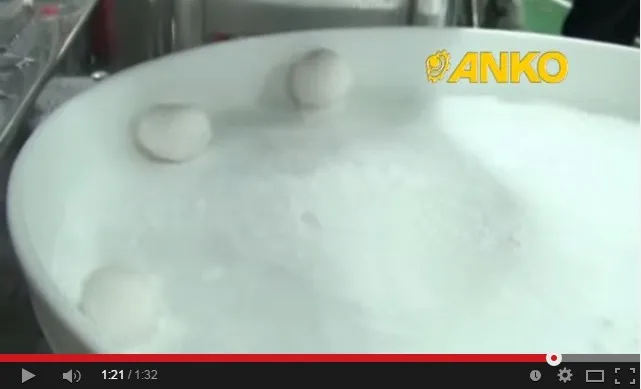 mochi video screen shot.jpg