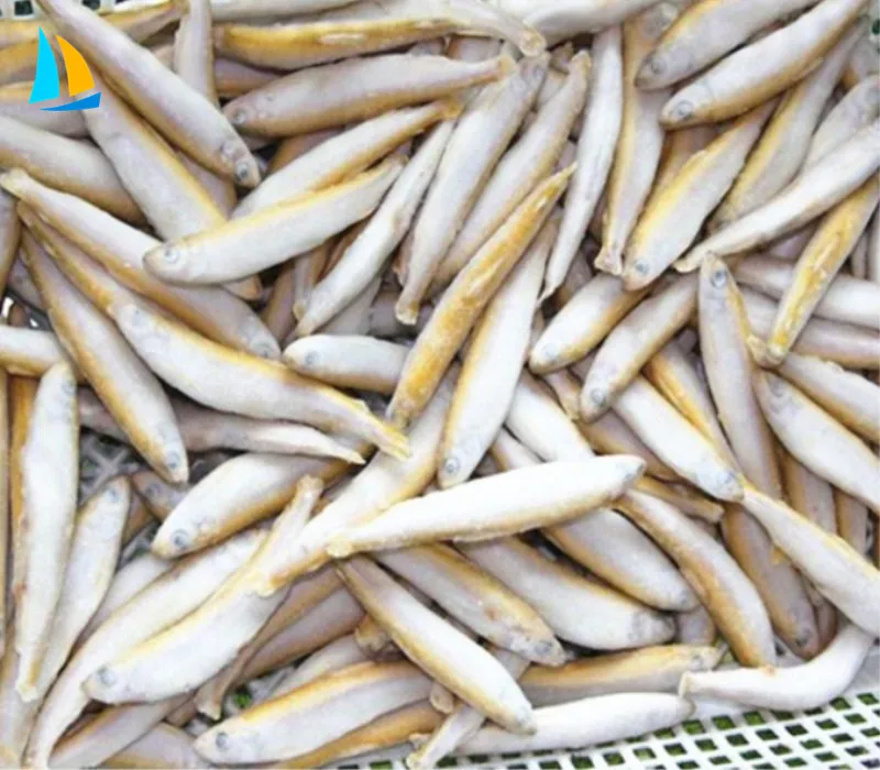 frozen I.Q.F whole round pond smelt fish Hypomesus Olidus for sale