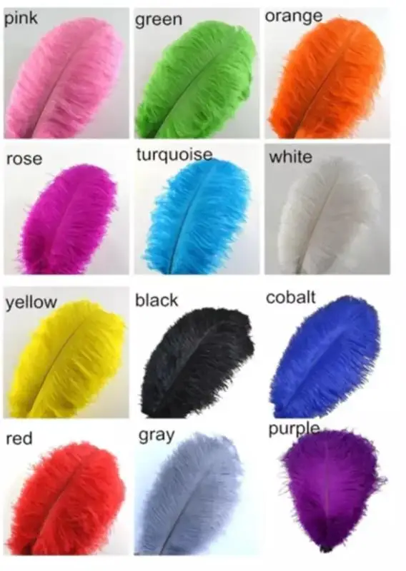 ostrich feather.jpg