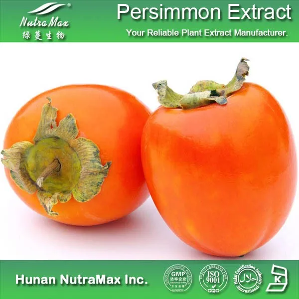 high quality dried persimmon extract , persimmon powder 5:1, 8:1