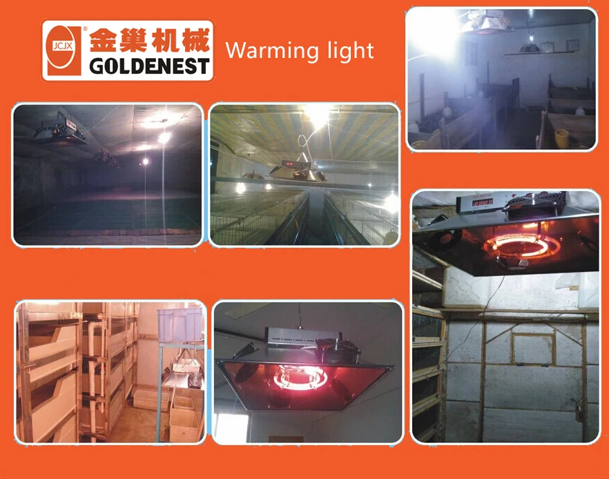 warming lights (1)