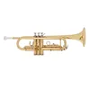 Practice Popular Standard Competitive Price Trumpet Instrument