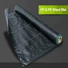 Agriculture PP Ground Cover Weed Control Mat in Strawberry Garden