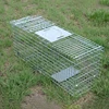 /product-detail/effective-and-versatile-two-door-and-double-trap-cage-60311097775.html