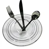 Eco Friendly Silver Rim Disposable Plastic Plates For Weddings