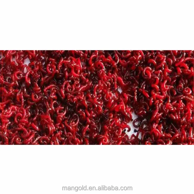 blood worms image