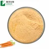 /product-detail/hot-sale-carrot-extract-powder-62204494026.html