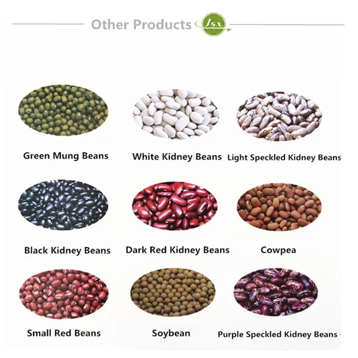 jsx latest crop high standard light speckled kidney beans