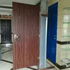 Israel Galvanized Steel Door Bare FLUSH DOOR