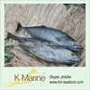 Fish Exporters Seafoods Marine Tuna Fish