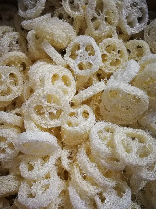 0000000000000000000000000000000000000000000000000000000000000000000000000000000000000000000000000000000000000000000000000000000000000000000000000001 - 