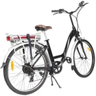 New high quality euro electric cargo bike for sale 36V/250W