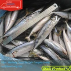 light catch pacific frozen mackerel fish 50-60pcs to indonesia for sale