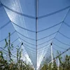 /product-detail/plants-protection-anti-hail-net-greenhouse-insect-proof-mesh-agricultural-plastic-products-anti-bee-netting-price-60674217525.html