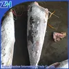 sea frozen swordfish hgt tuna