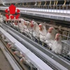 96 multi-tier new laying egg layer house nigeria automatic auto design chicken cage for poultry farm