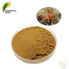 /product-detail/hippophae-rhamnoides-berry-extract-freeze-dried-seabuckthorn-powder-organic-60724382822.html